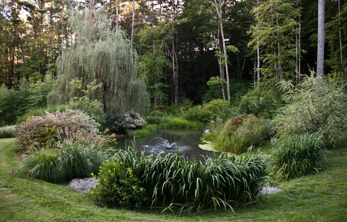 Large Coy Pond Landscape in Woodstock, NY